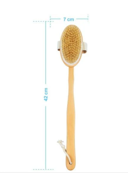 2-in-1 Dry Skin Body Brush with 14 inch Removable Wood Handle - Image 3