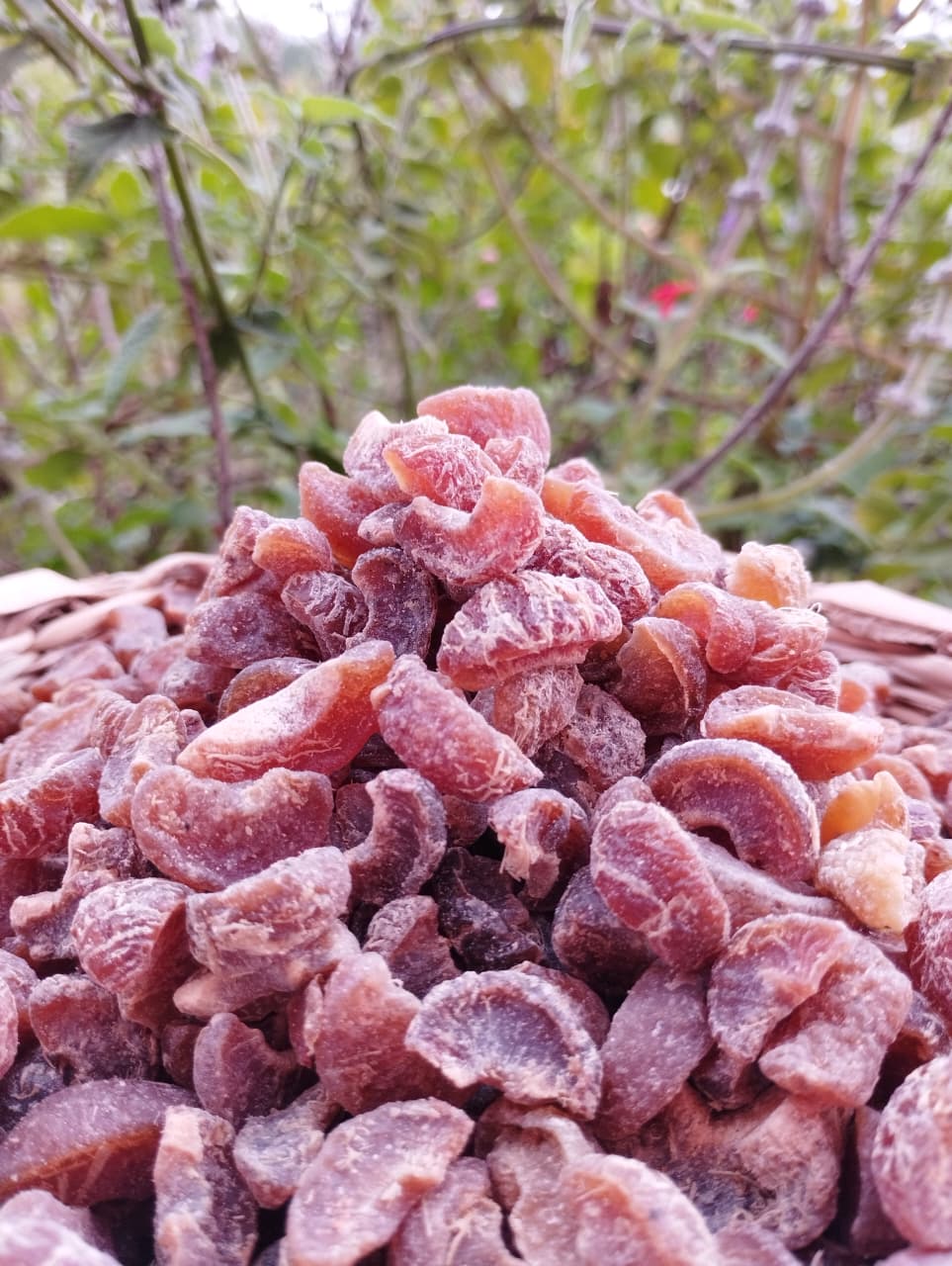 Amla Candy – Healthy Digestive Treat, Rich in Vitamin C & Antioxidants - Image 8