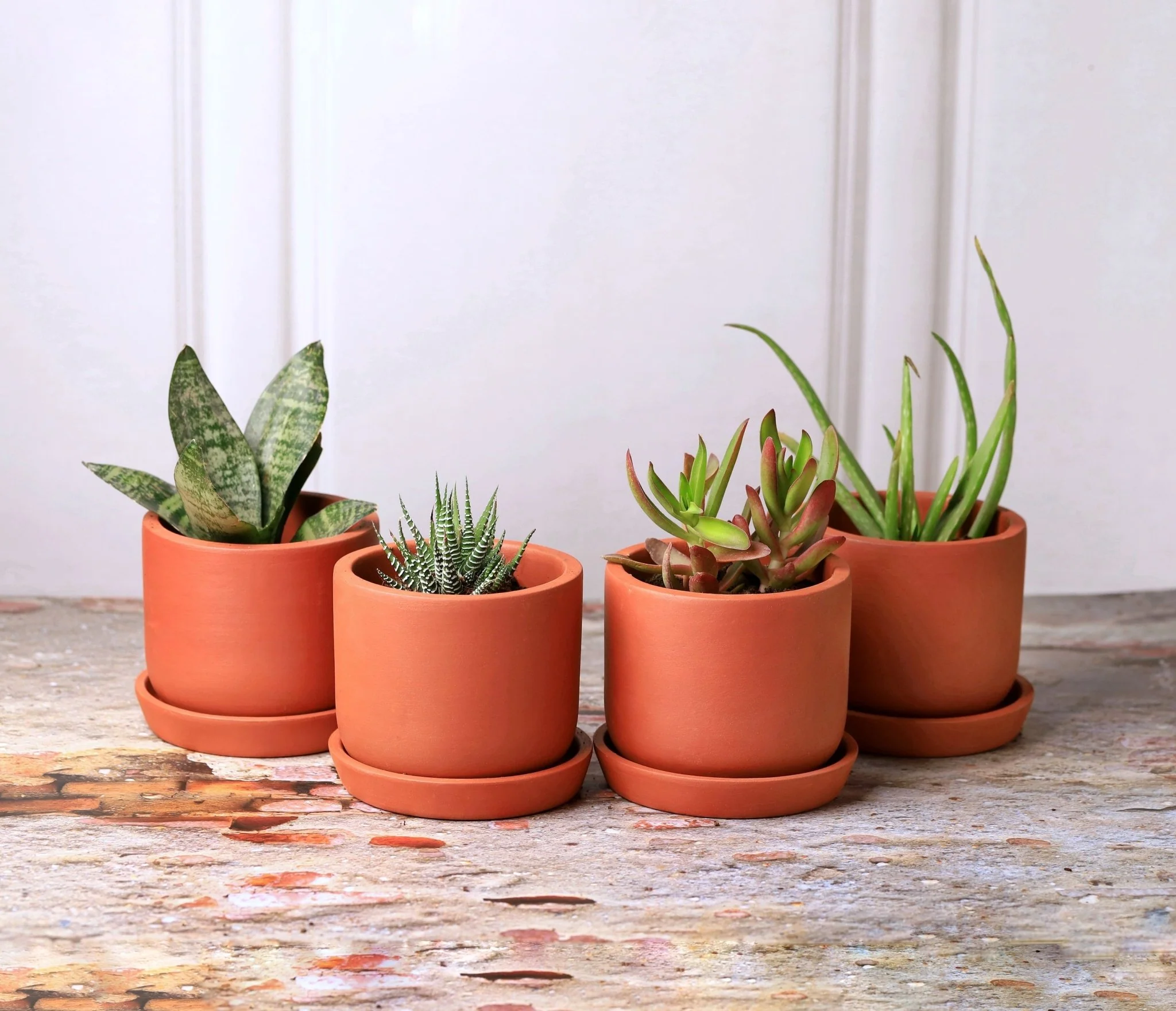 Autumn Planter Small 4 Inch | Handcrafted Decorative Pot - Image 15