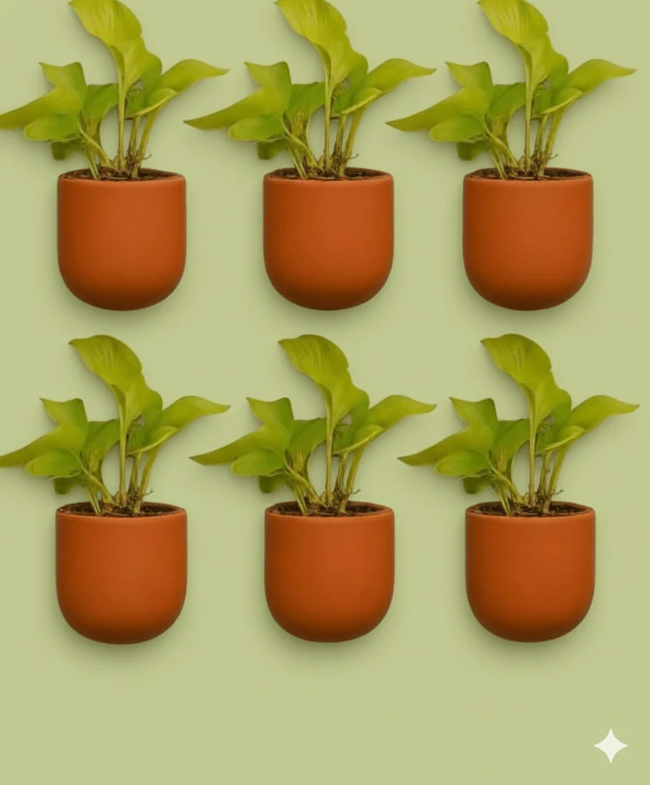 Autumn 4 Inch Terracotta Wall Planter | Hanging Wall Pot - Image 4