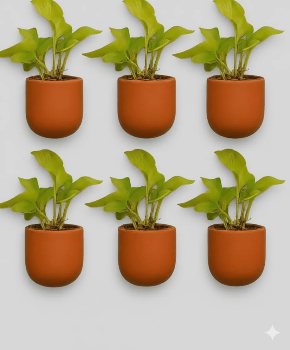 Autumn 4 Inch Terracotta Wall Planter | Hanging Wall Pot - Image 5