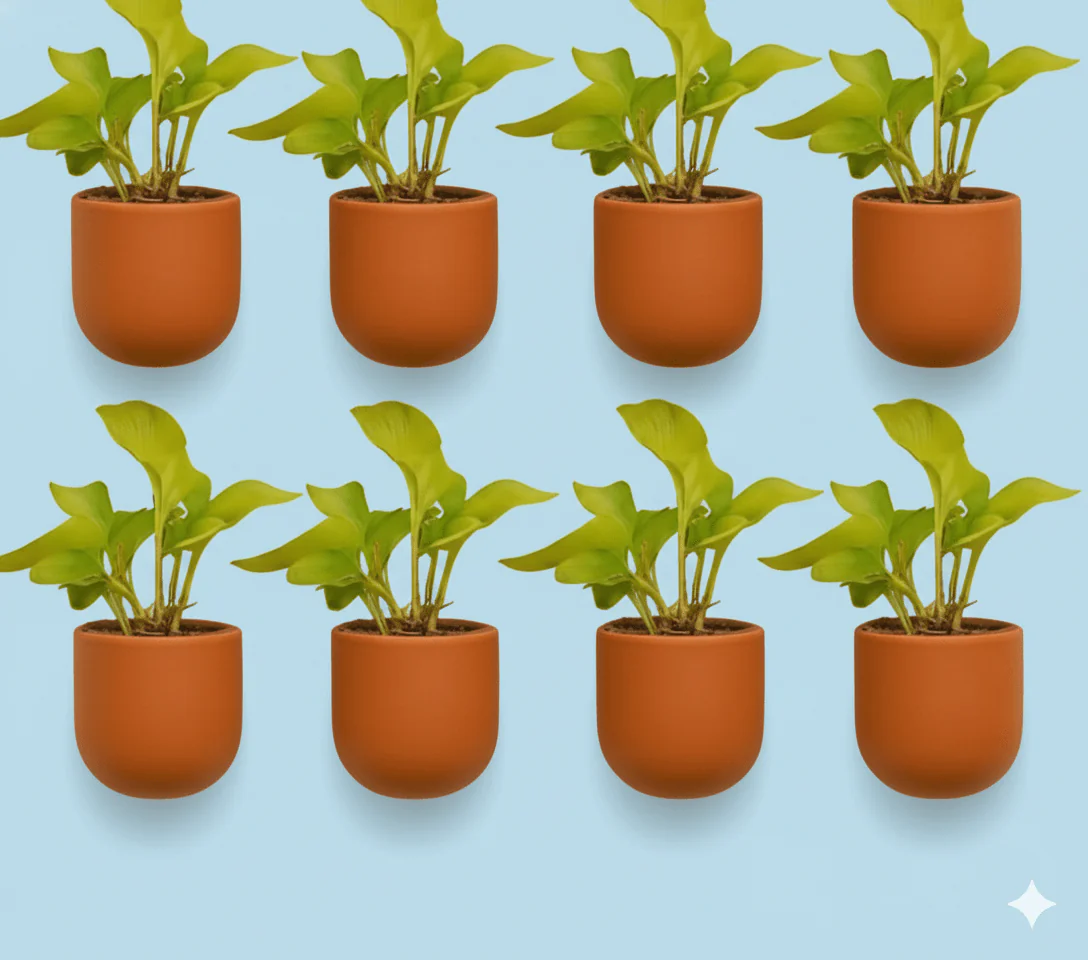 Autumn 4 Inch Terracotta Wall Planter | Hanging Wall Pot - Image 7