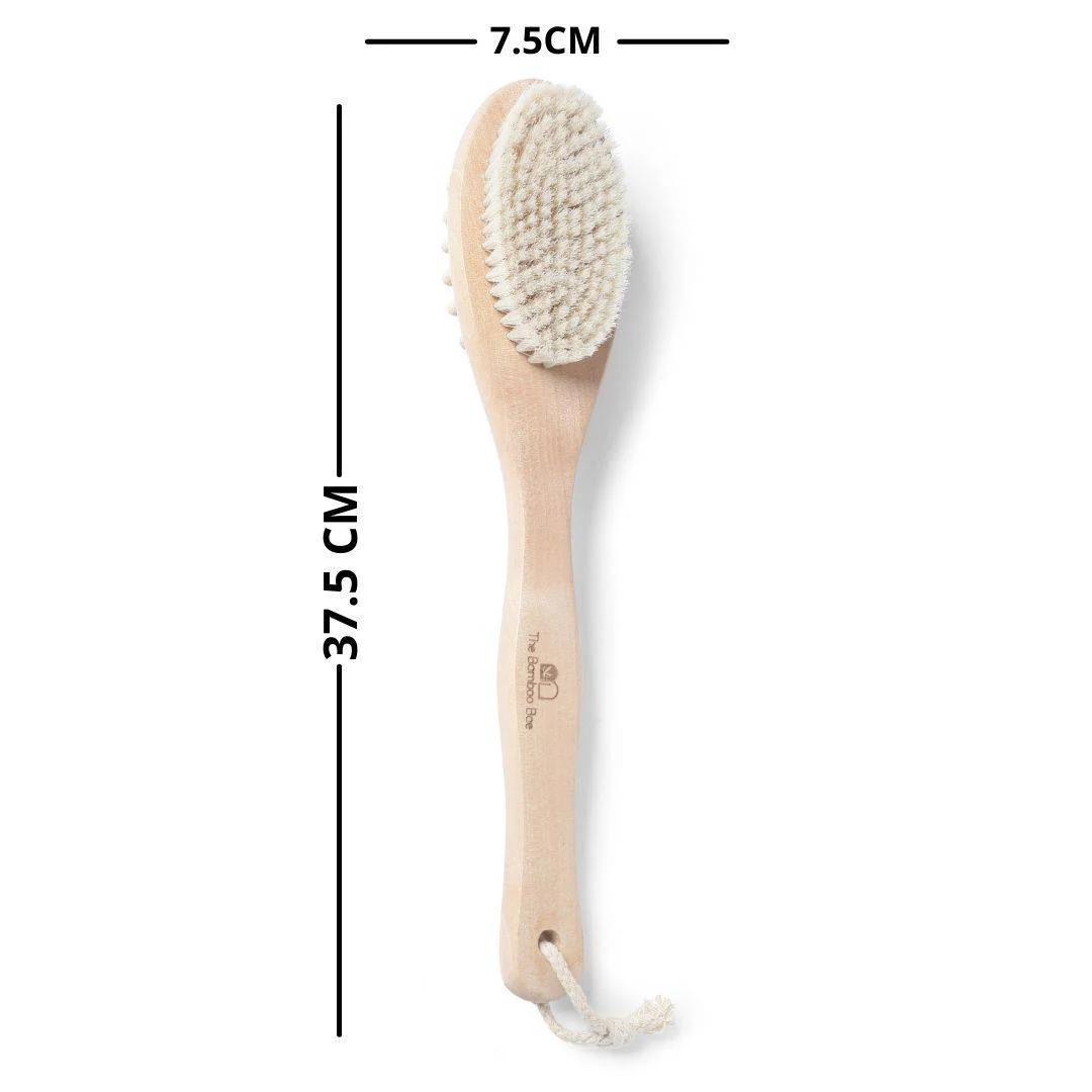Bath Brush 2 In 1 with Free Loofah | Body Brush with Handle - Image 6