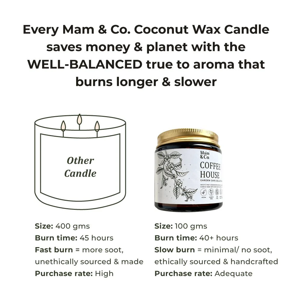 Best Seller Gift Pack - Set of 4 Coconut Wax Candles - Image 12