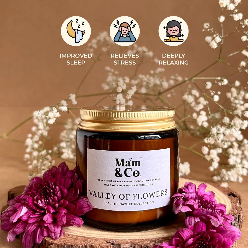 Best Seller Gift Pack - Set of 4 Coconut Wax Candles - Image 4