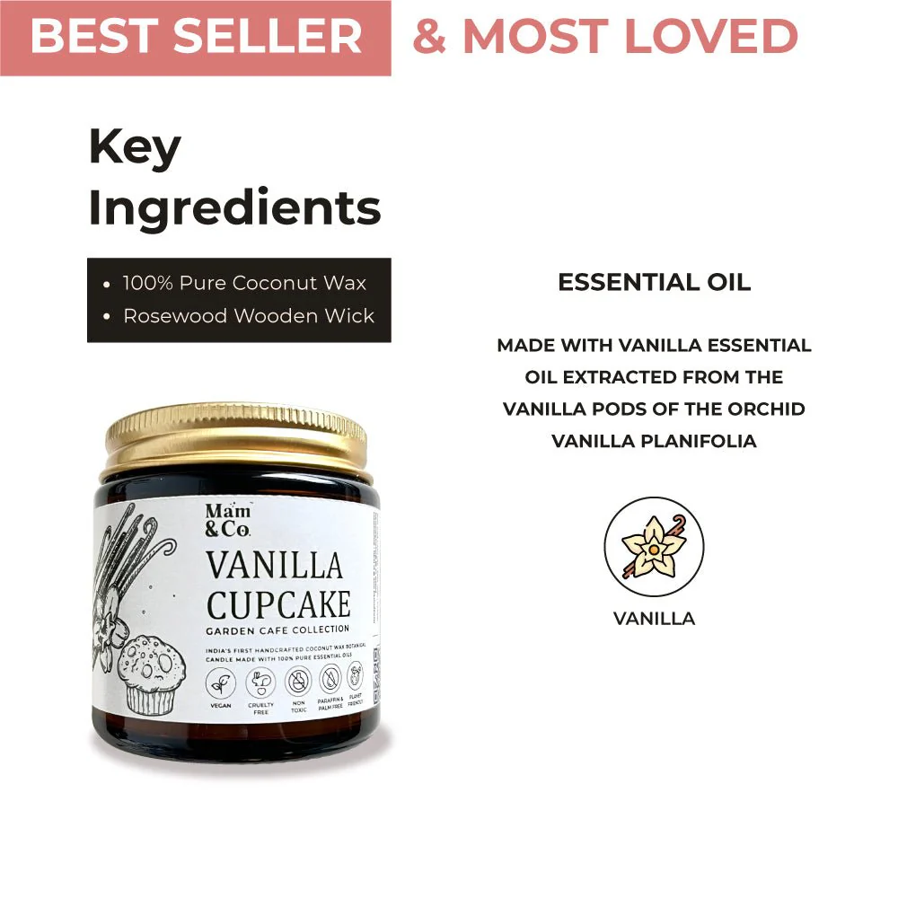 Best Seller Gift Pack - Set of 4 Coconut Wax Candles - Image 9
