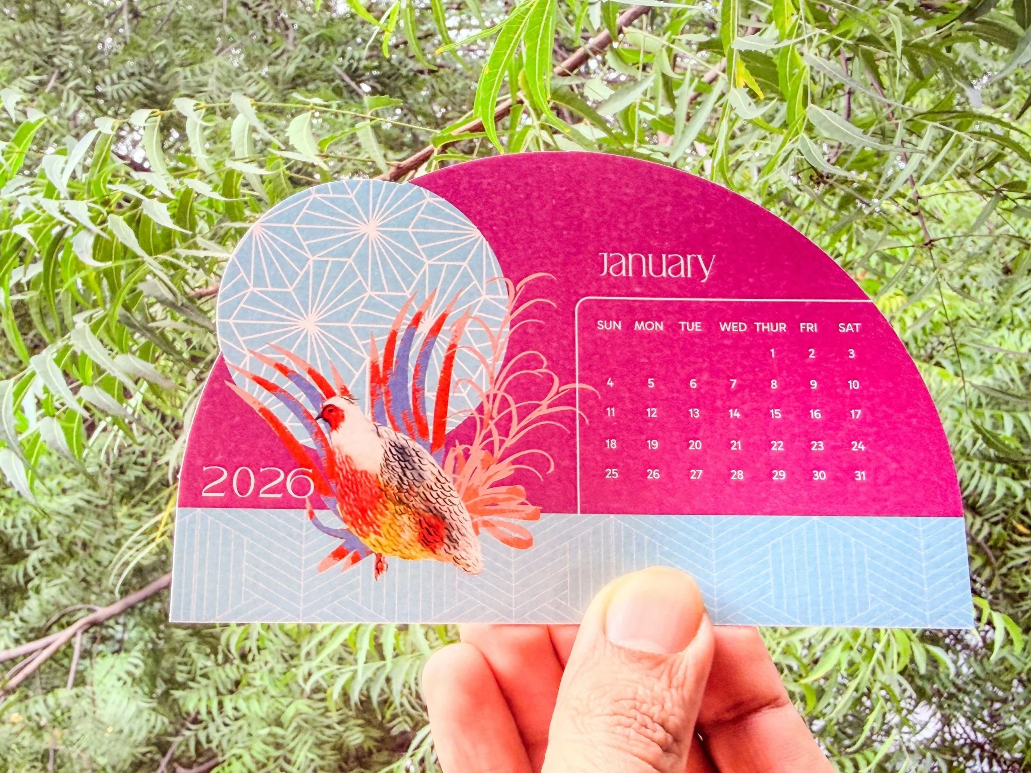 Birds of India Calendar 2026 | Wooden Base Landscape Format - Image 4