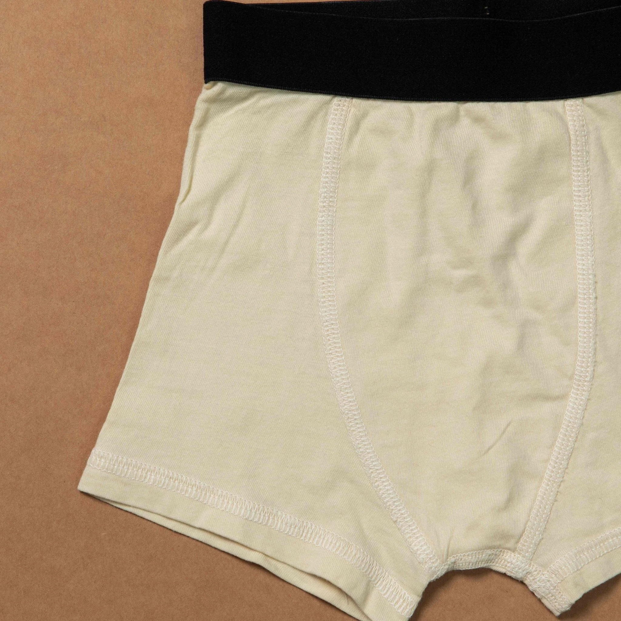 Boys Trunks-Organic- Plant Dyed- 0 Toxins- Anti-Microbial-Pack of 2 - Image 3