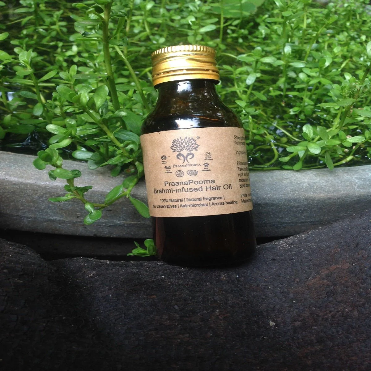 Brahmi Infused Hair Oil- 50 ml - Image 4