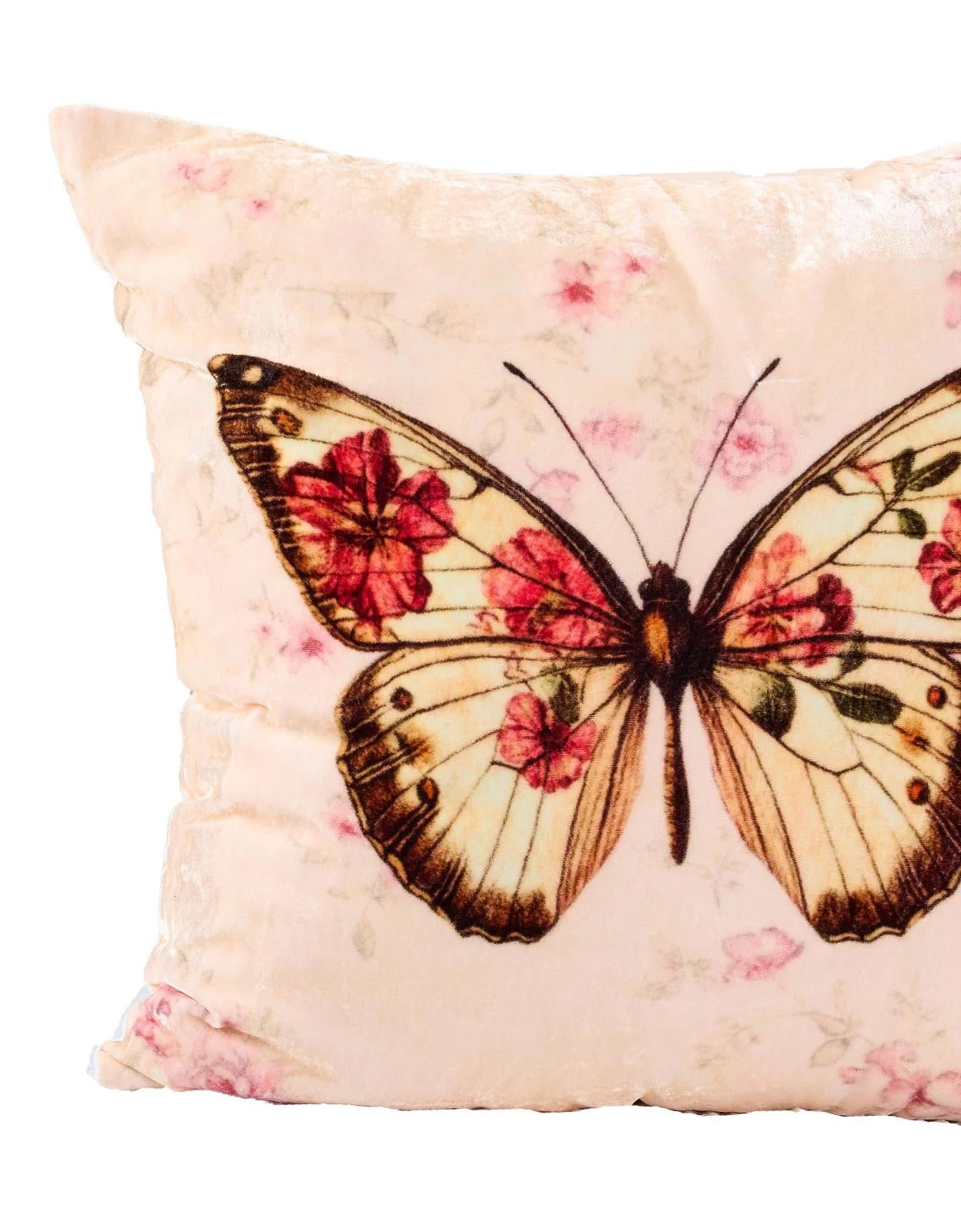 Butterfly Bloom Cotton Velvet Cushion - Image 4