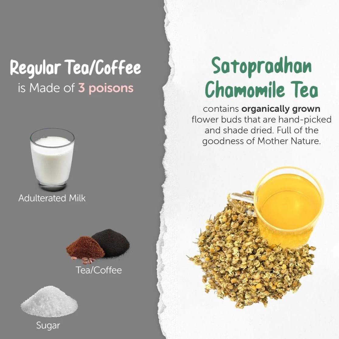 Chamomile Tea- Organic & Naturally Shade Dried Flowers-25g - Image 13