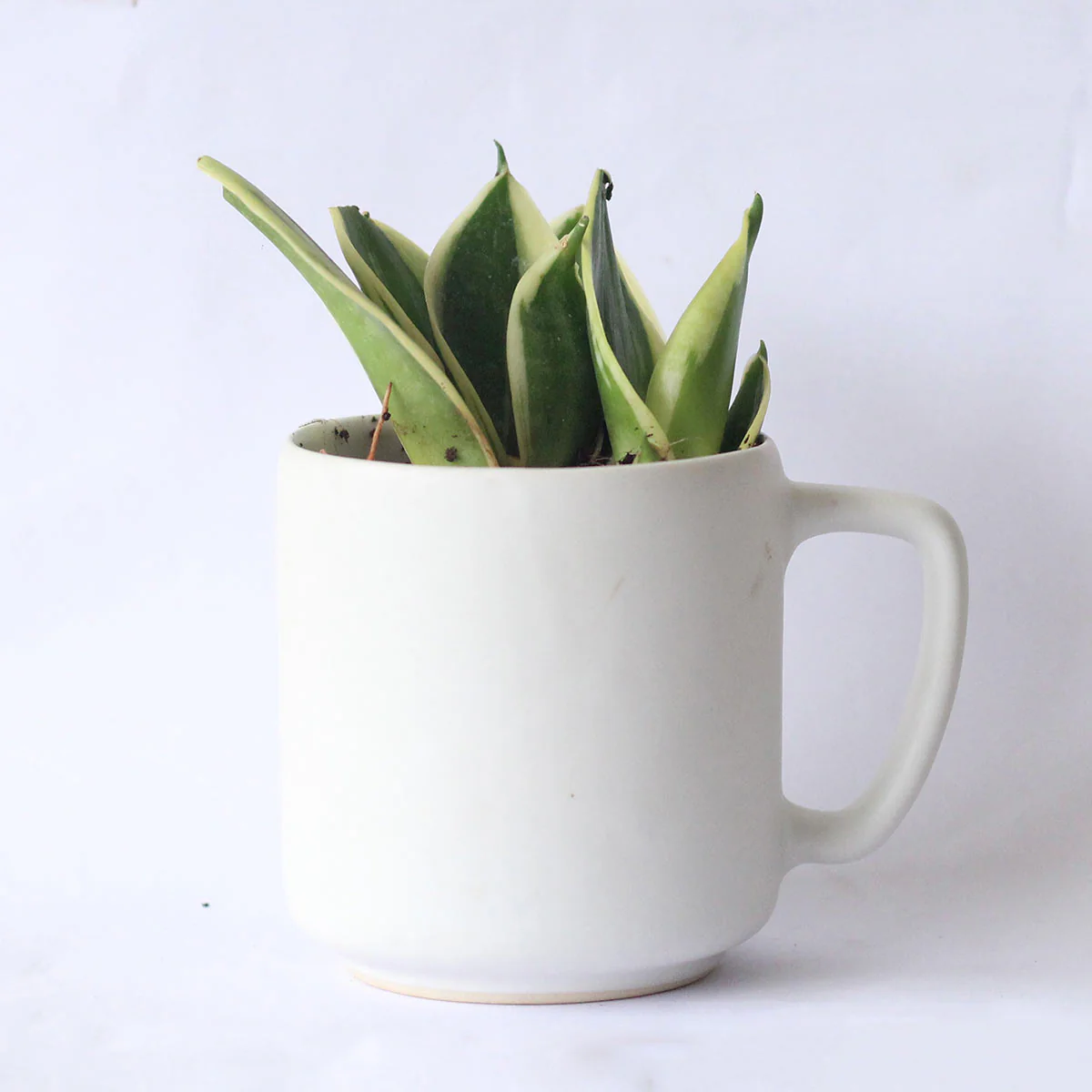 Cloud Recycled Ceramic Planter with holder - Image 2