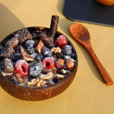Coconut Bowl /Shell + Spoon,(500 ML, Pack of 1) - Image 3