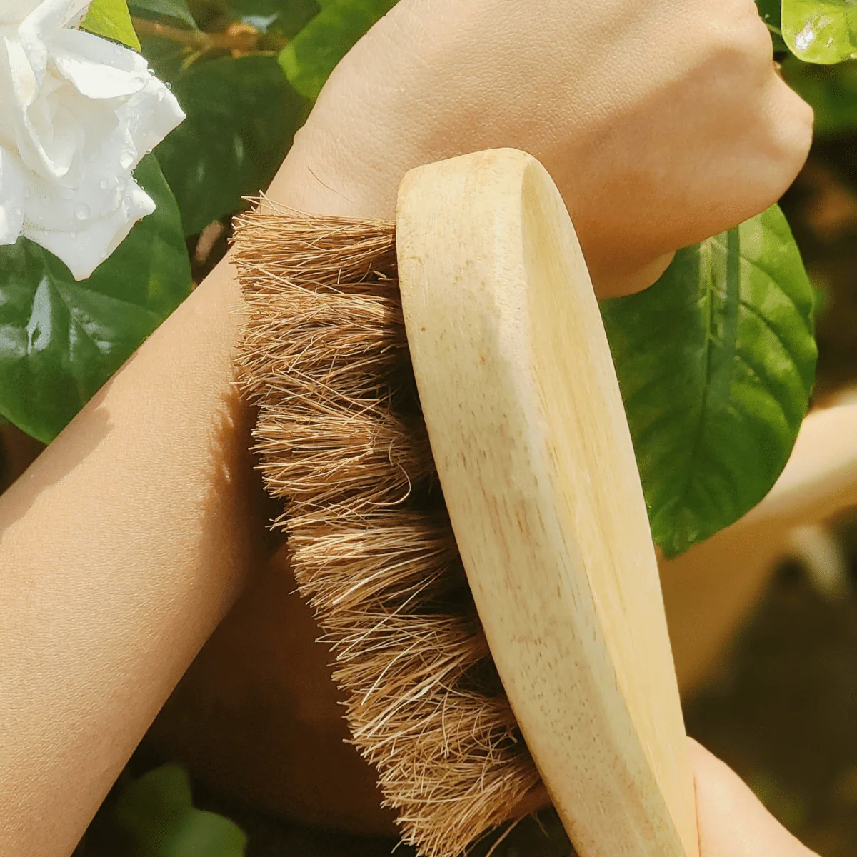 Coconut Fiber Dry Body Brush – Natural Exfoliation Tool - Image 4