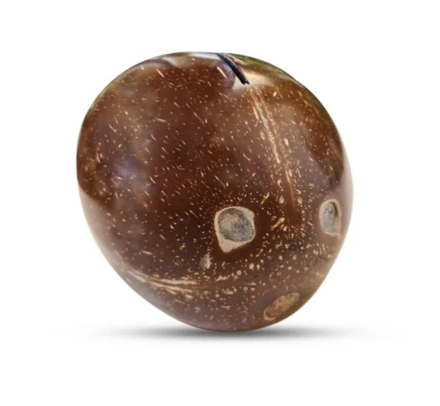 Coconut Shell Kudukka | Piggy Bank for Kids and Adults - Image 3