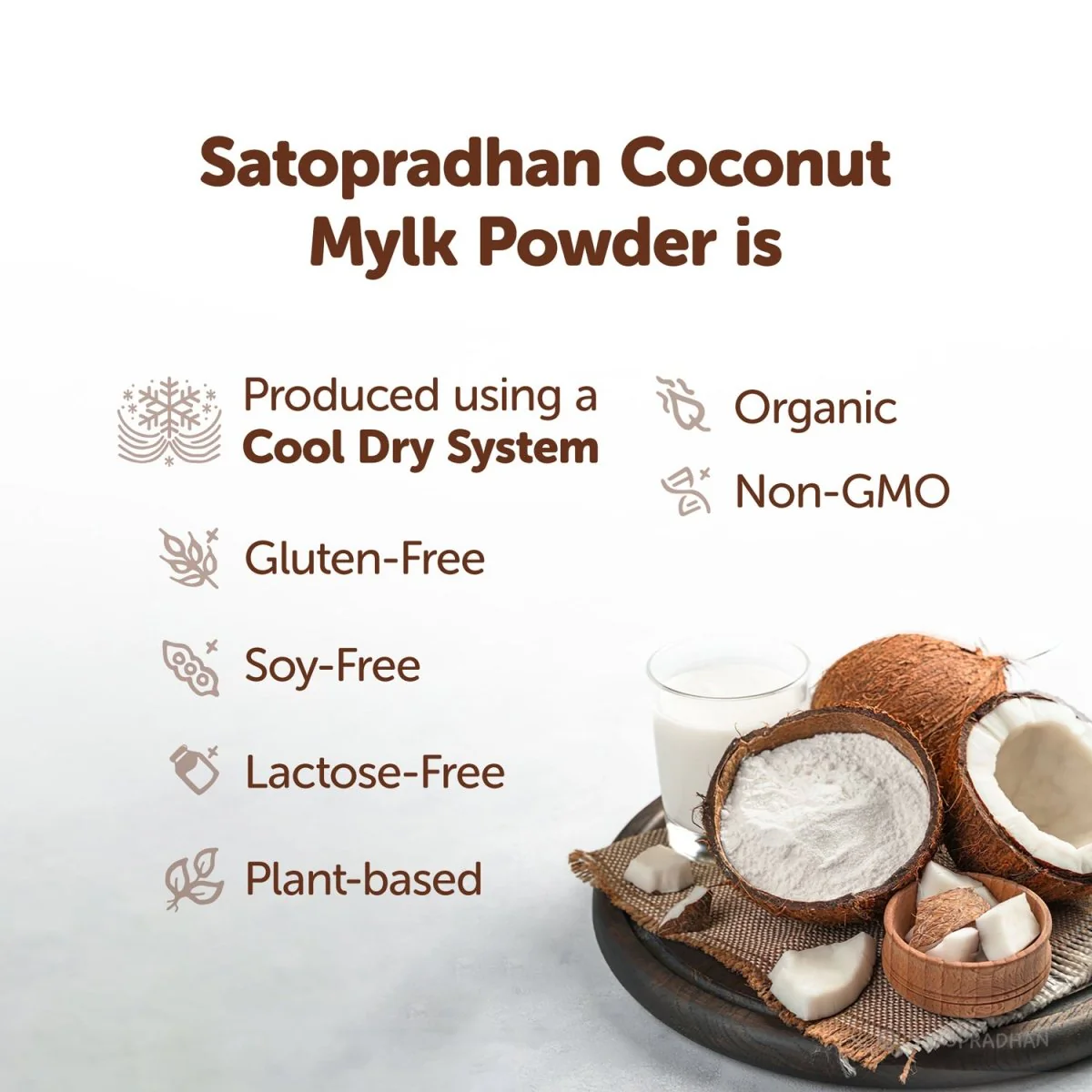 Coconut Mylk Powder 200g- 100% Vegan & Pure Milk Powder - Image 3