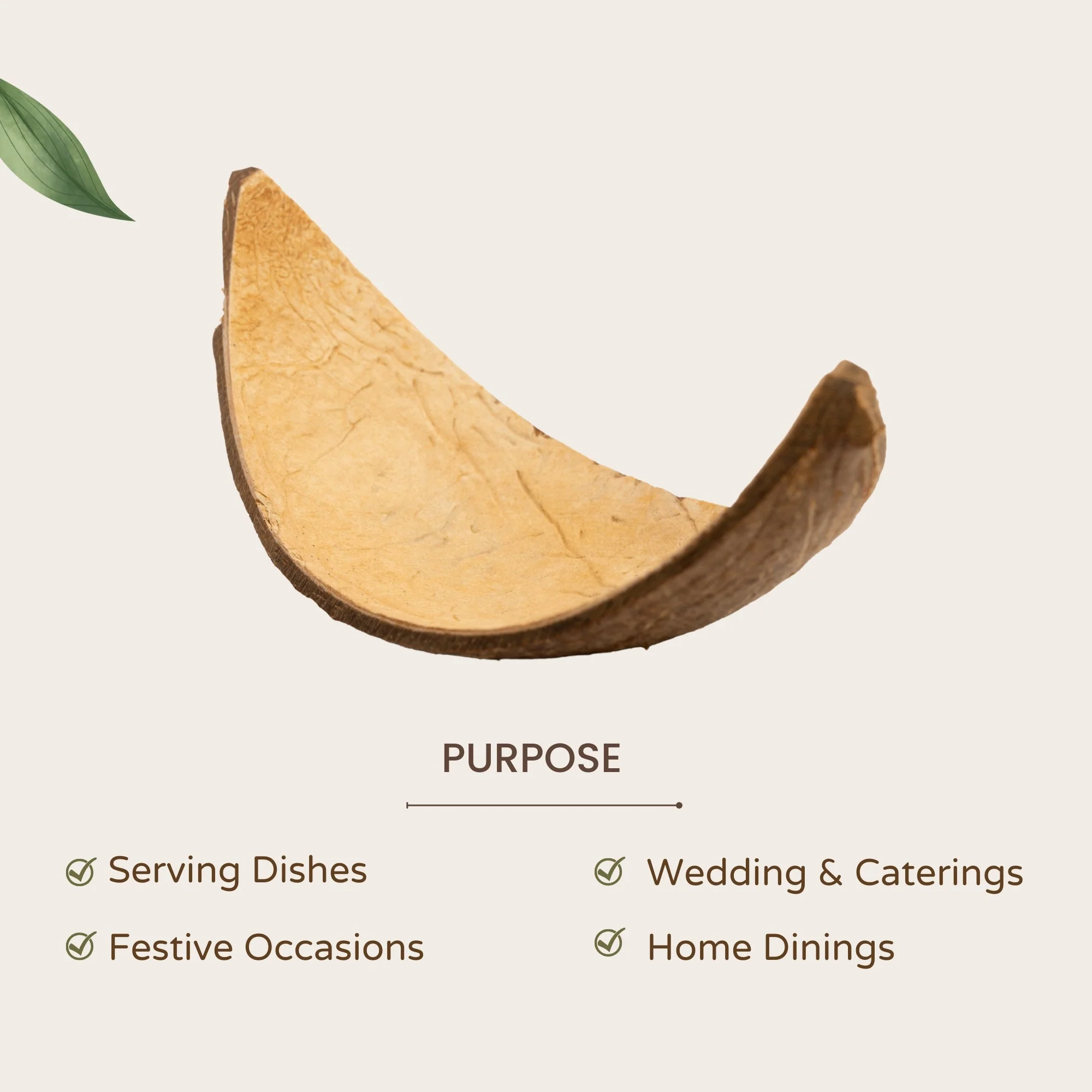 Coconut Shell Boats | Eco-Friendly Handcrafted Serving Set of 10 - Image 4