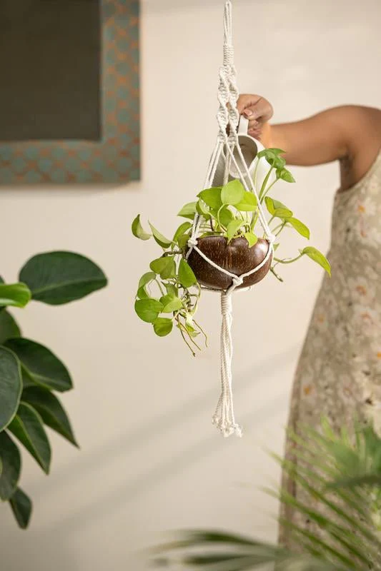 Coconut Shell Macrame Plant Hanger & Pot for Indoor & Outdoors - Image 3
