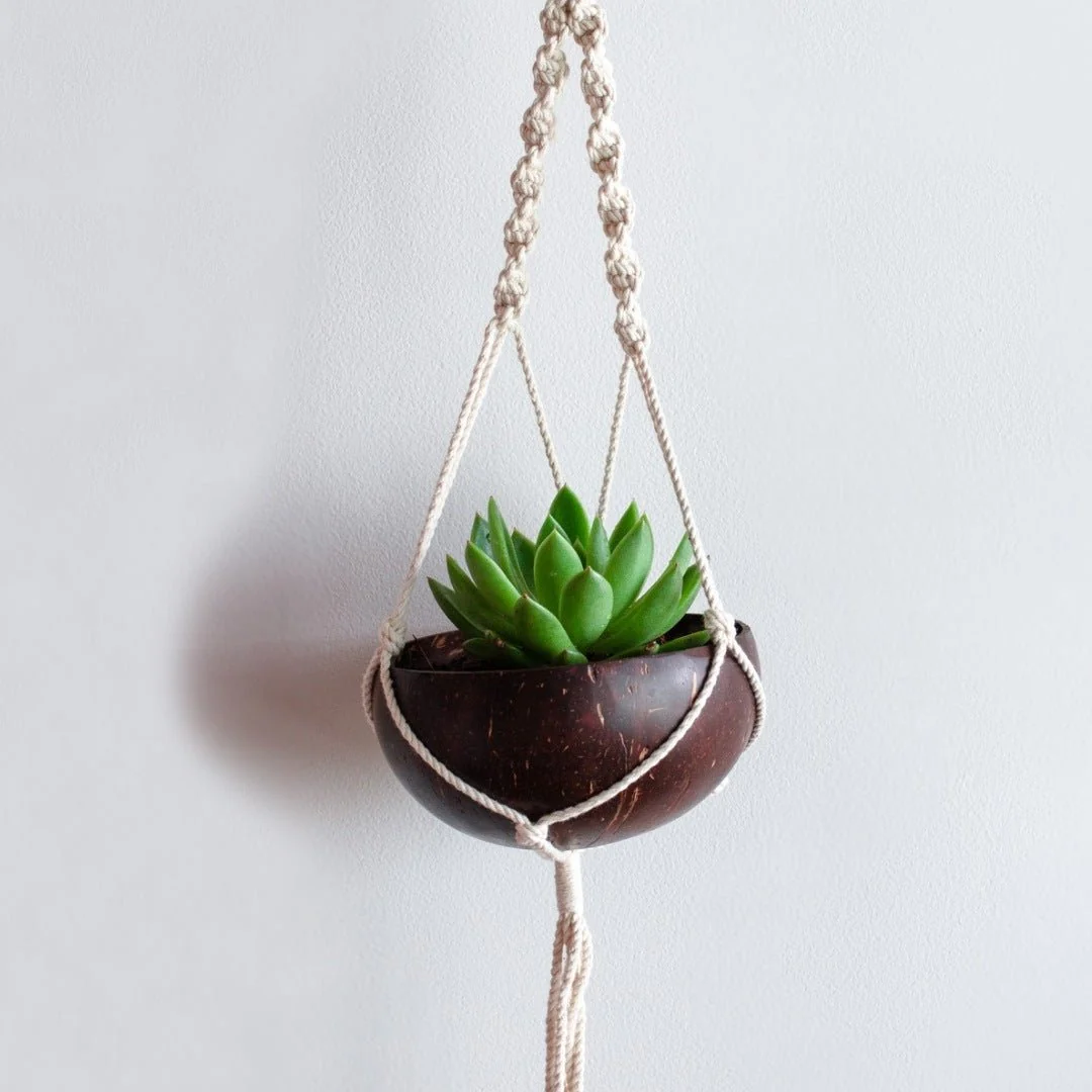Coconut Shell Macrame Plant Hanger & Pot for Indoor & Outdoors - Image 6