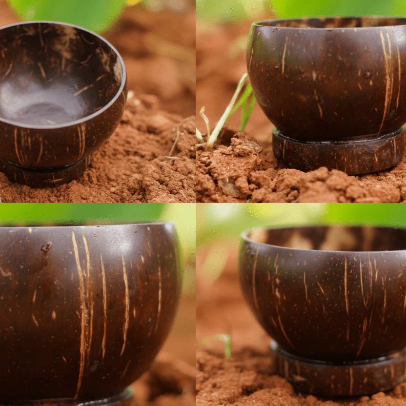 Coconut Coconut Shell Bowl | Raw Natural Coconut shell Bowl - Image 2
