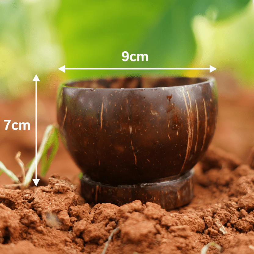 Coconut Coconut Shell Bowl | Raw Natural Coconut shell Bowl - Image 3