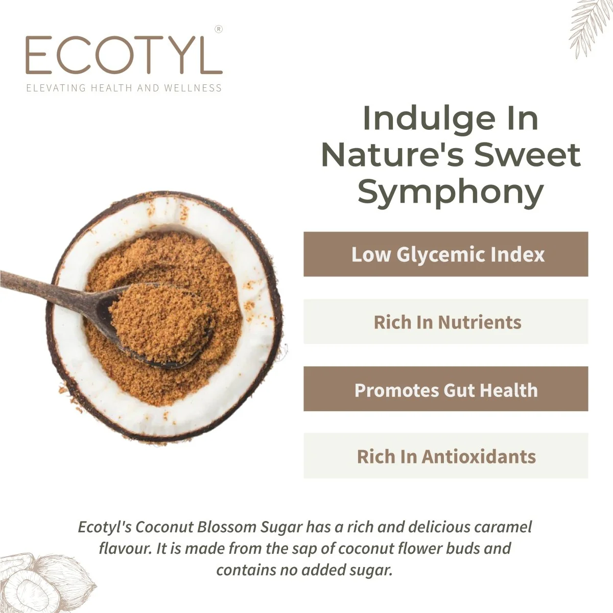 Coconut Sugar- 300g | Blossom Sugar | Natural Sweetener - Image 2