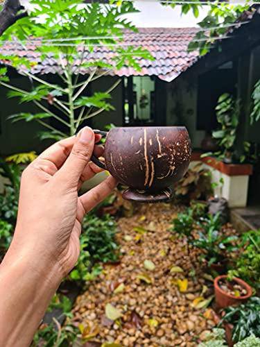 Coconut Teacup - Natural & Handmade  200 ml | Set of 2 - Image 5