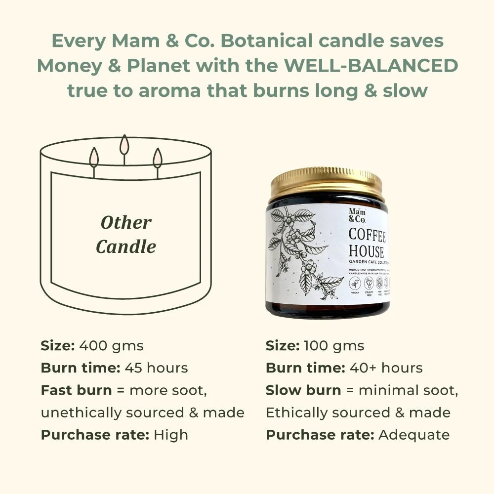 Coffee House- 100% Coconut Wax Botanical Candle - Image 5