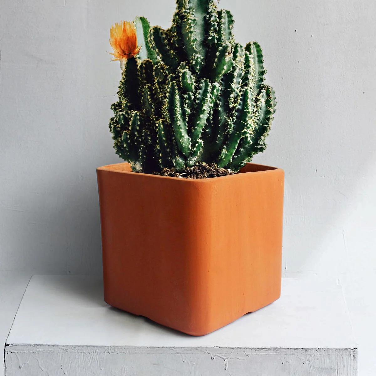 Cuboid Terracotta Planters Set of 3 (Large,Medium,Small) - Image 2