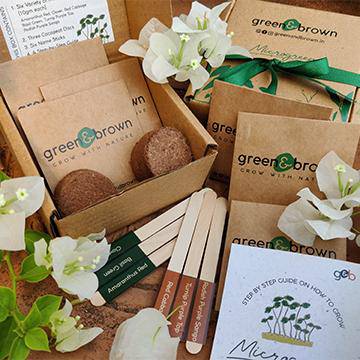 DIY Microgreens Seeds Kit