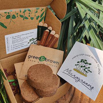 DIY Microgreens Seeds Kit - Image 2