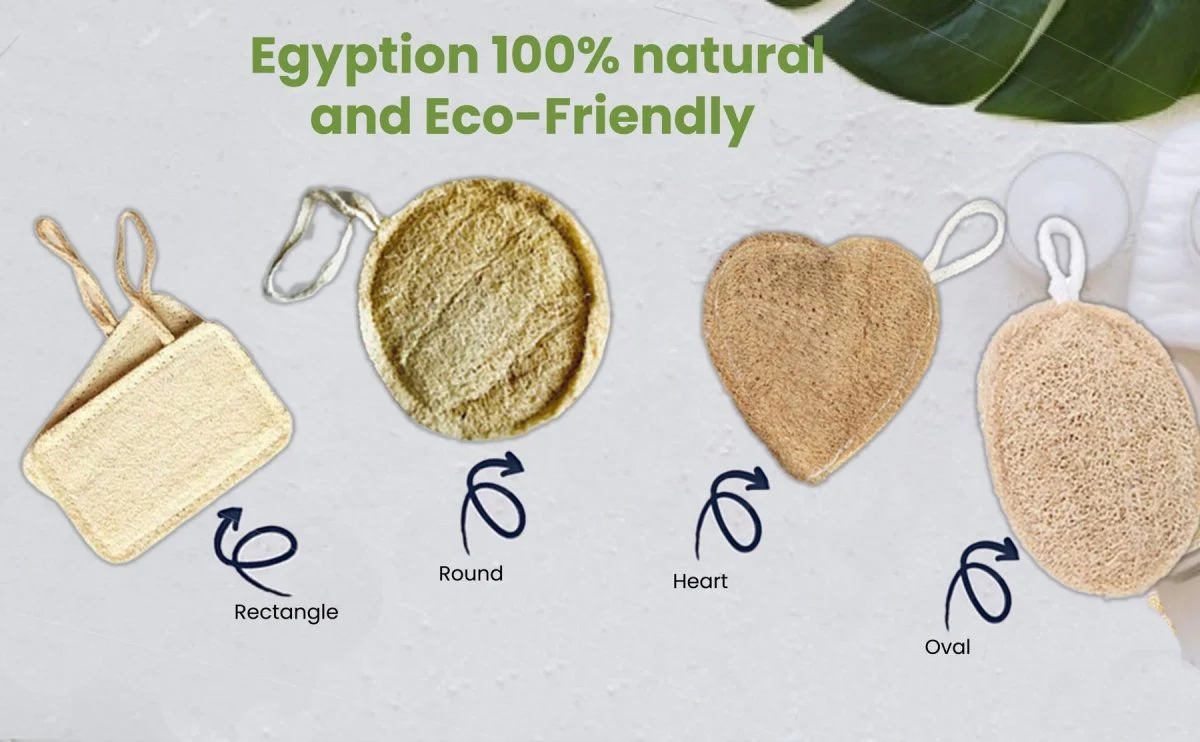 Eco Friendly Loofah for Bath- Round Shape - Image 5