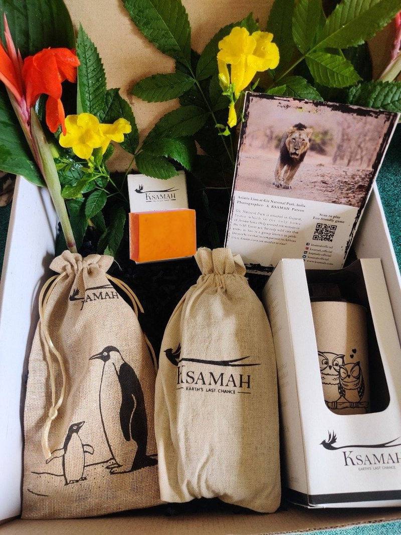 Ecological Startup Box