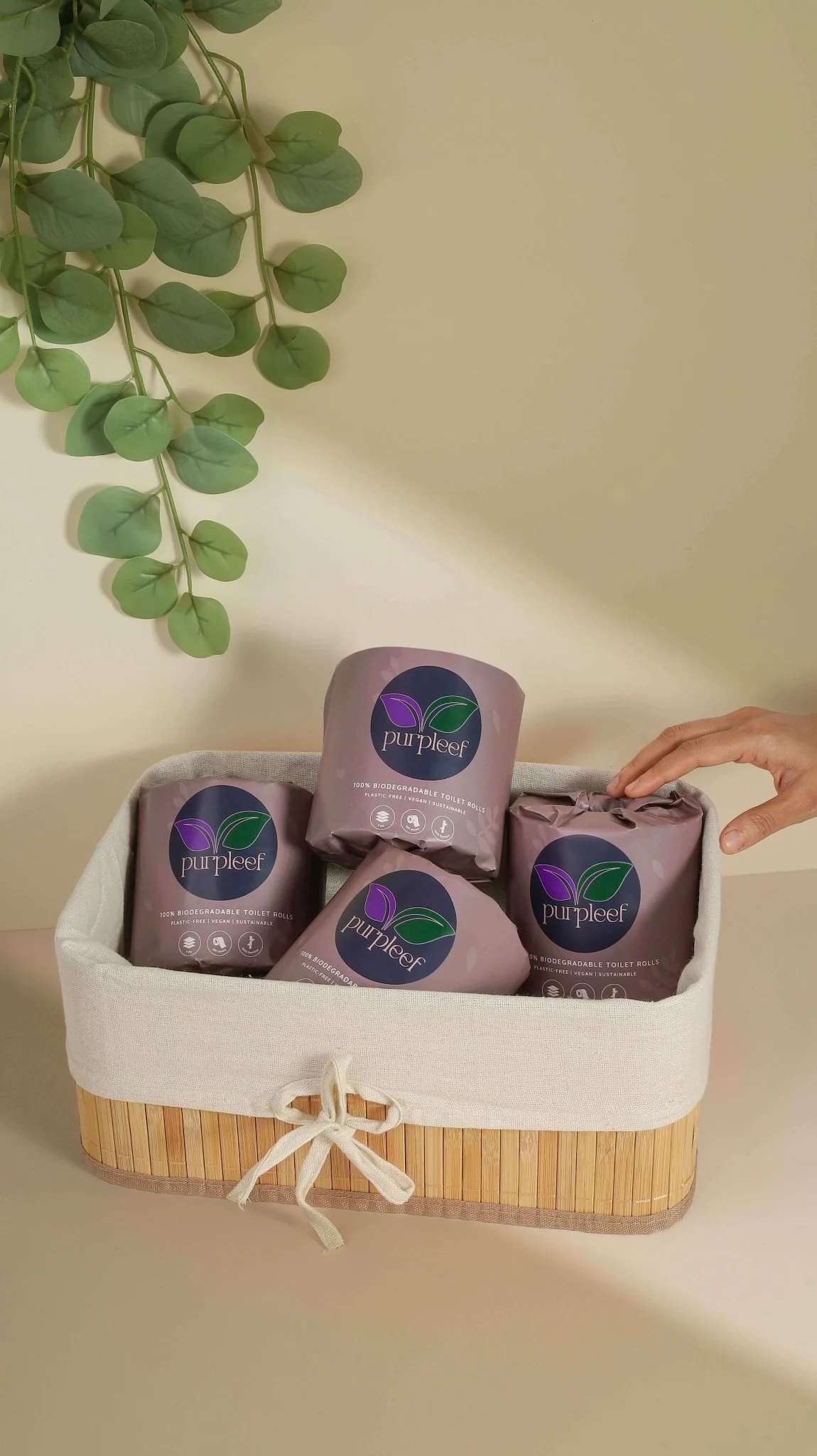 EcoLuxe Starter Kit - 2 Kitchen Towel, 4 Toilet Rolls - Image 4