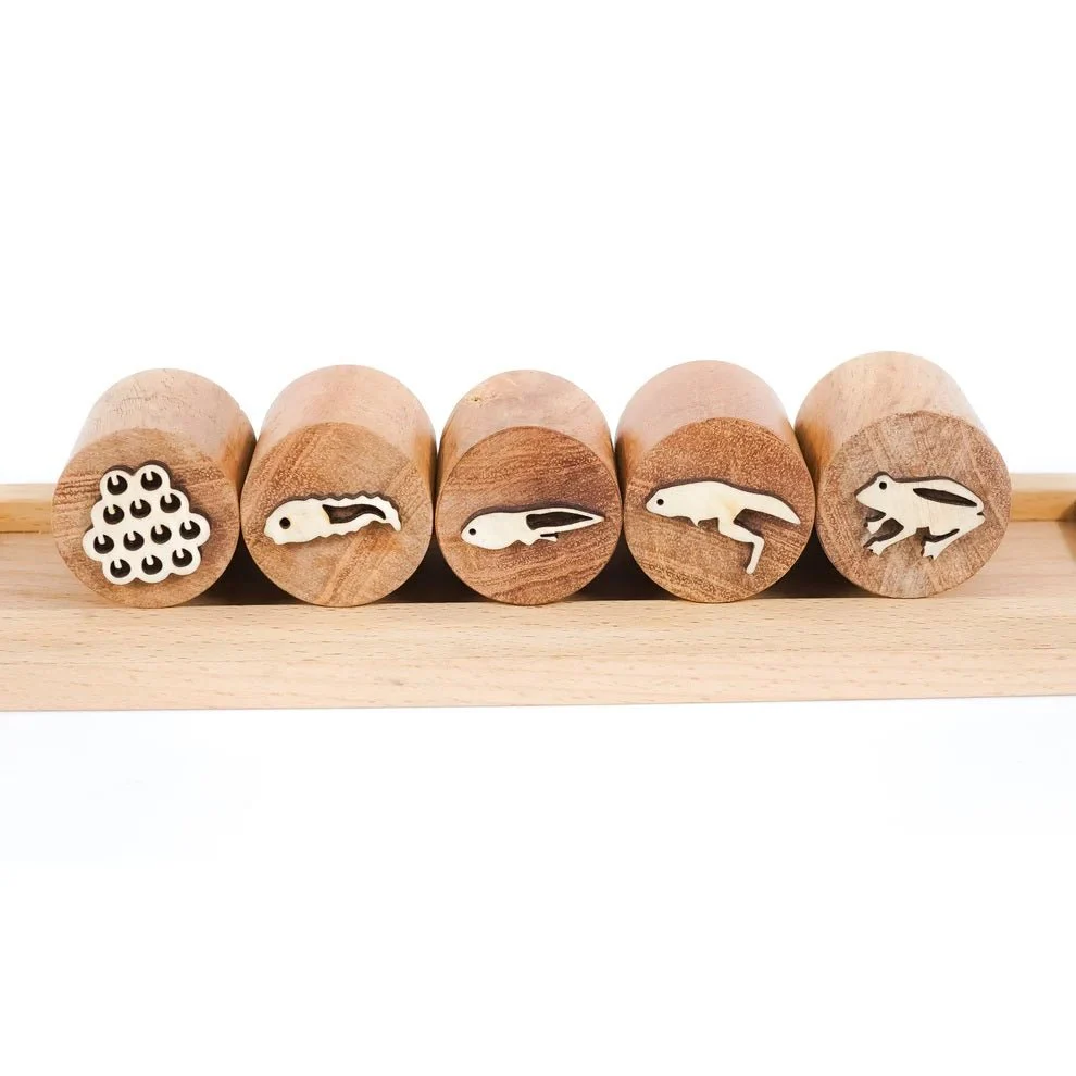 Wooden Frog Stamp Set – Eco-Friendly Montessori Toy for Toddlers