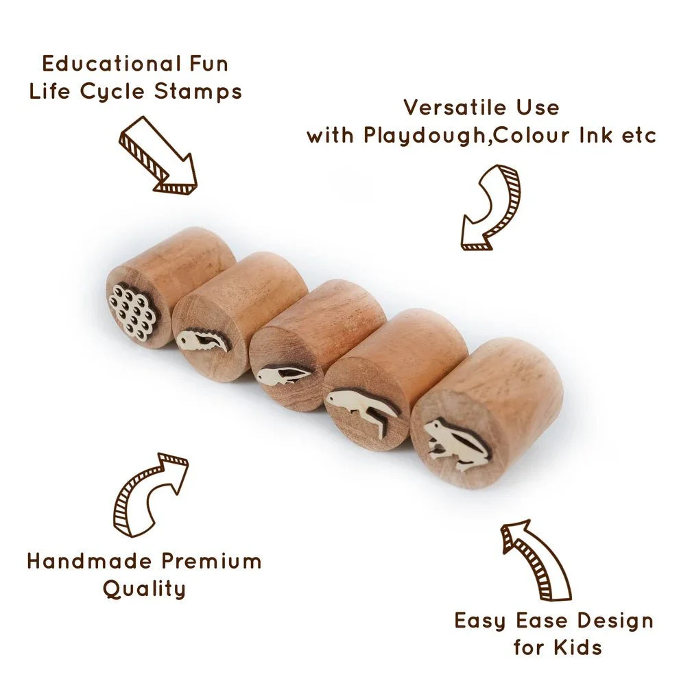 Wooden Frog Stamp Set – Eco-Friendly Montessori Toy for Toddlers - Image 3