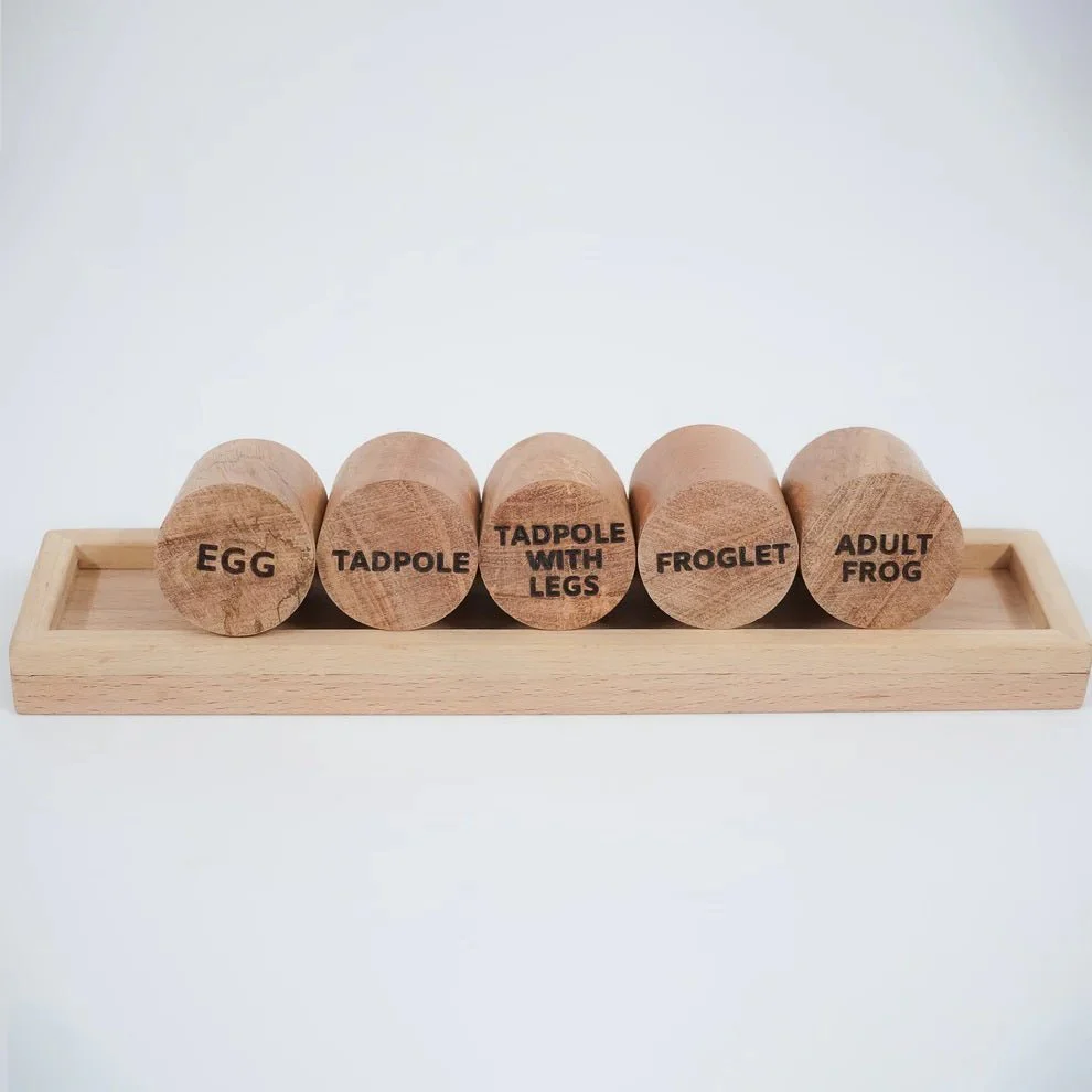 Wooden Frog Stamp Set – Eco-Friendly Montessori Toy for Toddlers - Image 6