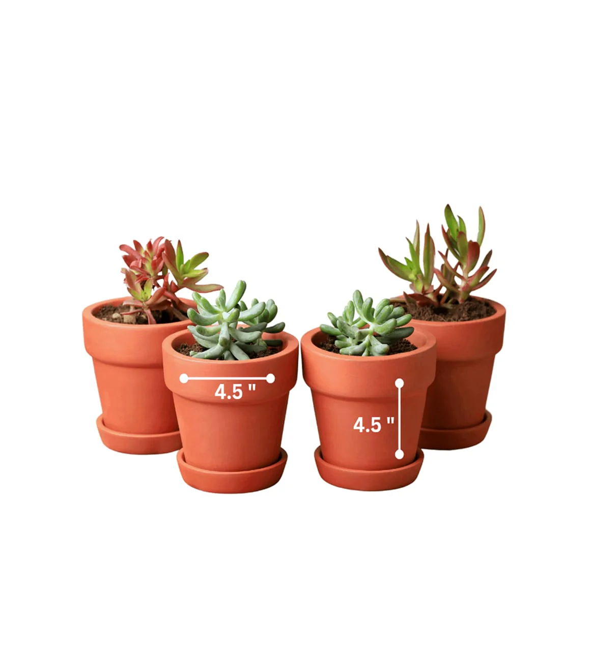 Gamla Planter Small 4 Inch | Terracotta Handmade Pot - Image 23