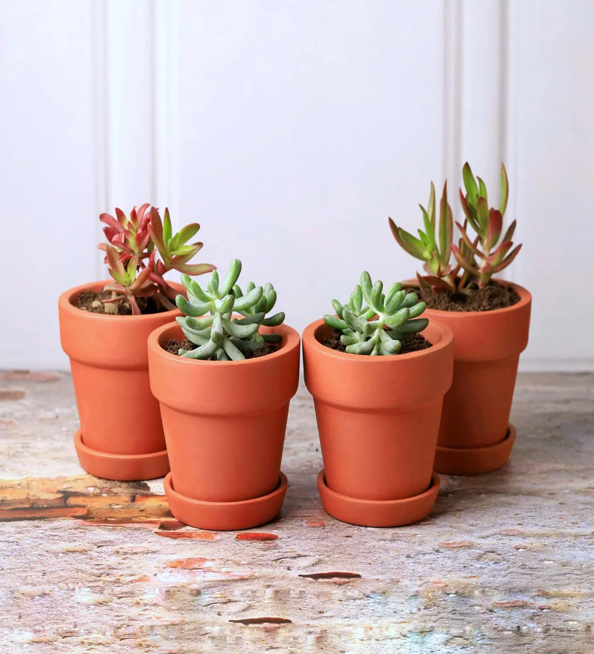 Gamla Planter Small 4 Inch | Terracotta Handmade Pot - Image 24
