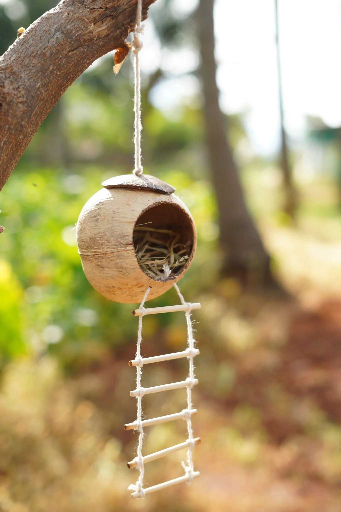 Handcrafted Coconut Shell Bird House with Ladder | Bird's Nest Cage - Image 2