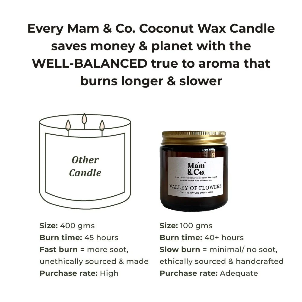 Handcrafted Coconut Wax Candles- Set of 2 Floral + Woody - Image 8