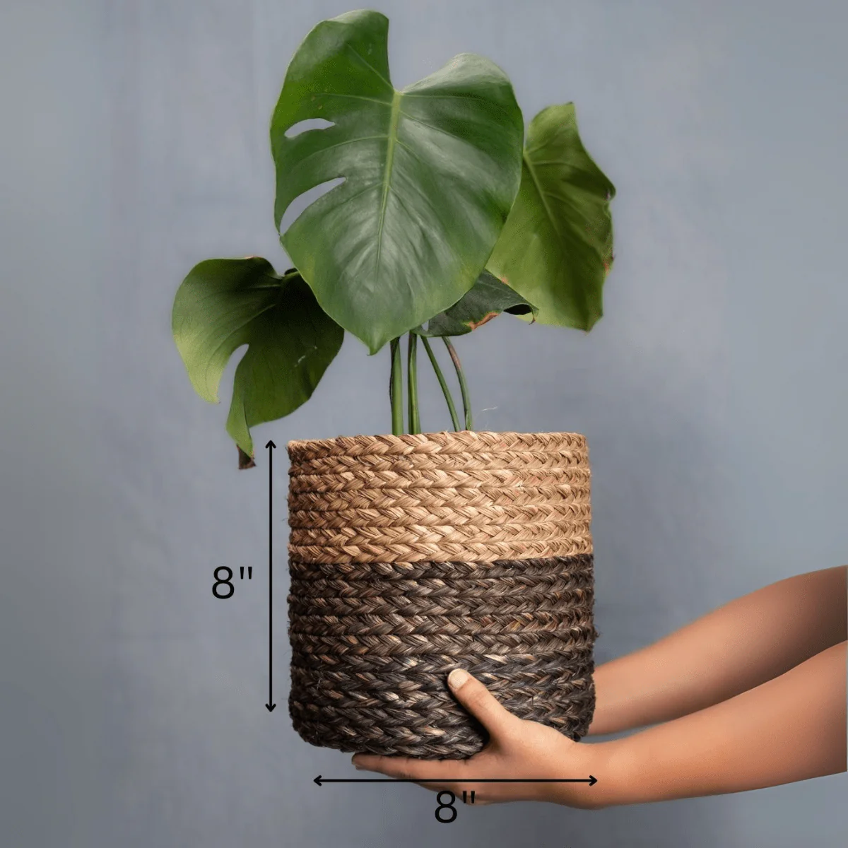 Handmade Sabai Grass Planter - Image 11