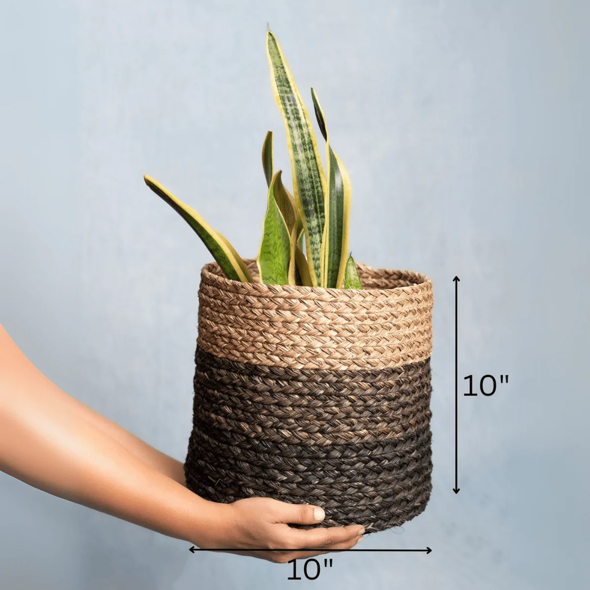 Handmade Sabai Grass Planter - Image 12