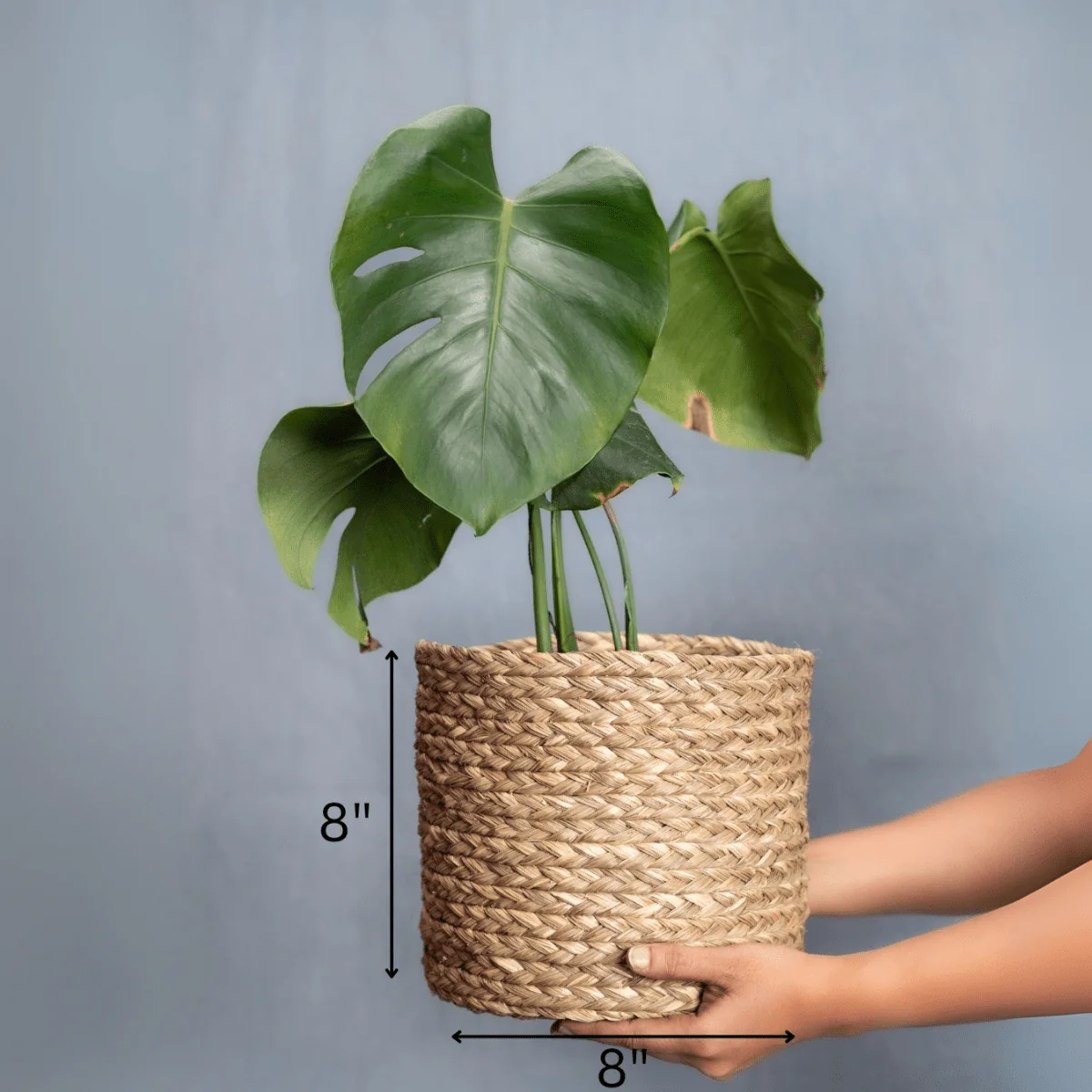 Handmade Sabai Grass Planter - Image 14
