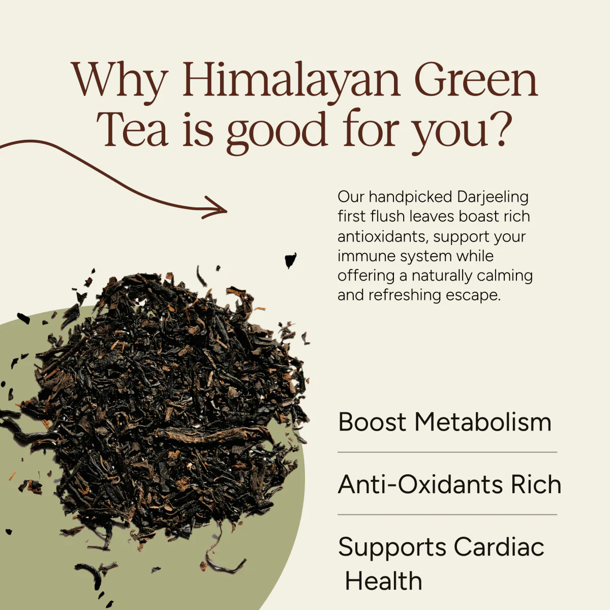 Himalayan Green Tea | Darjeeling Whole Leaf | 100g - Image 3