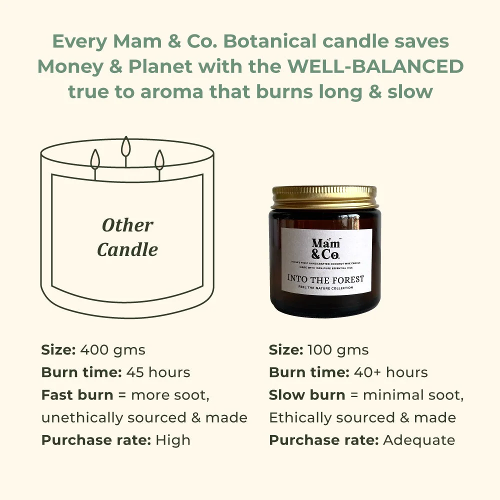 Into the Forest- 100% Coconut Wax Botanical Candle - Image 5