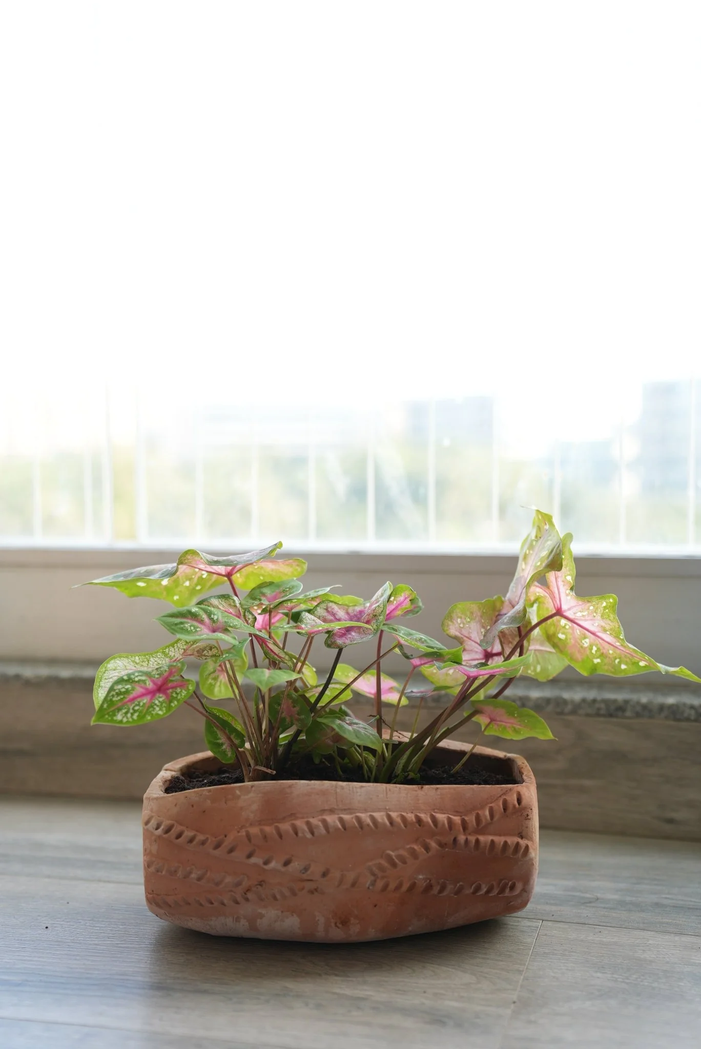 Dholak Beat Earthen Planter - Image 4
