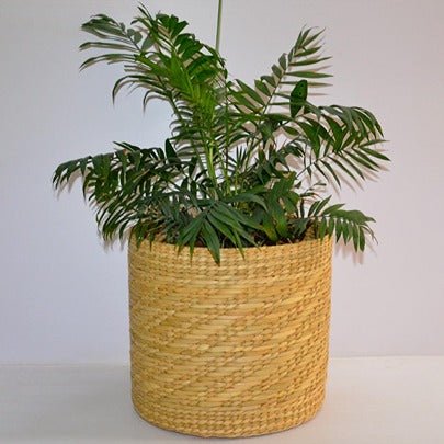 Lightweight Kauna Planter - Image 2
