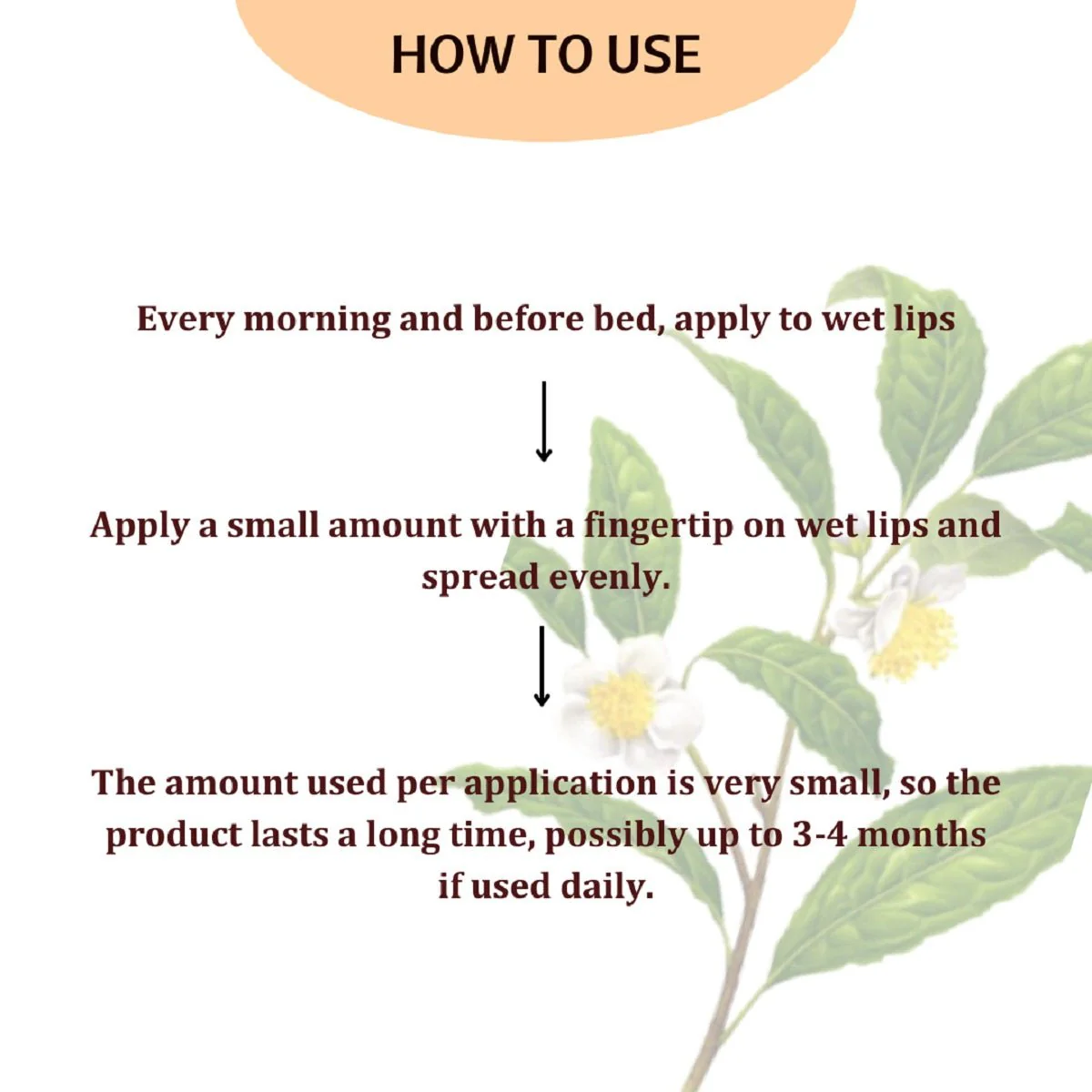 Lip Balm with Mango Butter - Image 5