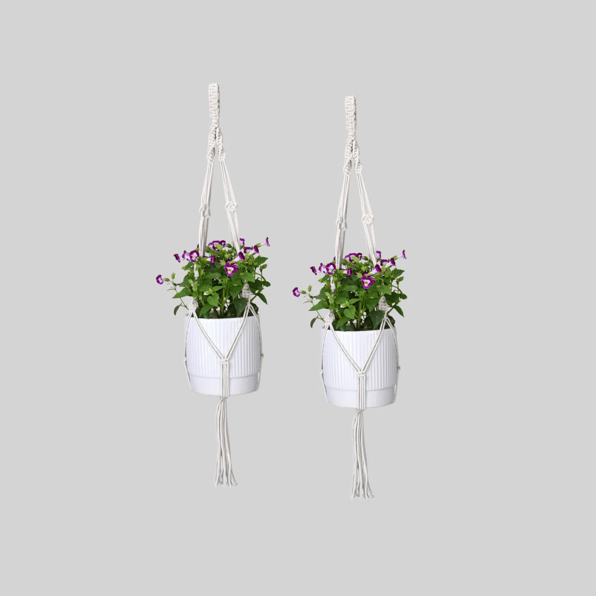 Macrame Cotton Plant Holder for Home & Garden Pack of 2